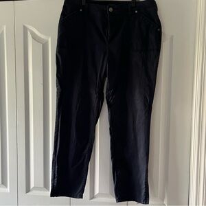 Talbots Navy Chino Curvy Pants with Ankle Zipper Size 10